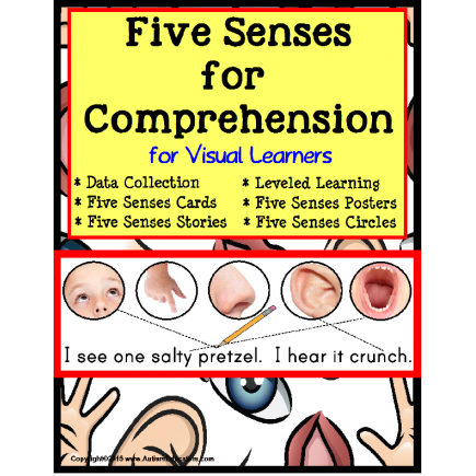 Five Senses for Visual Learners (Autism/Special Education)